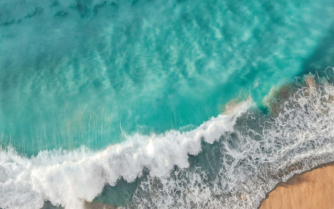 What Is True Health? A Deeper Look